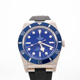 Tudor Black Bay 54 79000B