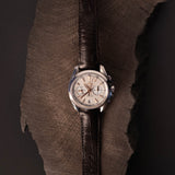 Omega Aqua Terra 231.13.43.52.02.001
