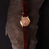 Omega Seamaster Vintage 18k 166.0217