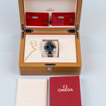 Omega Seamaster Aqua Terra 150M Co-Axial Chronometer 231.10.42.21.03.003