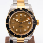 Tudor Black Bay S&G 79733N