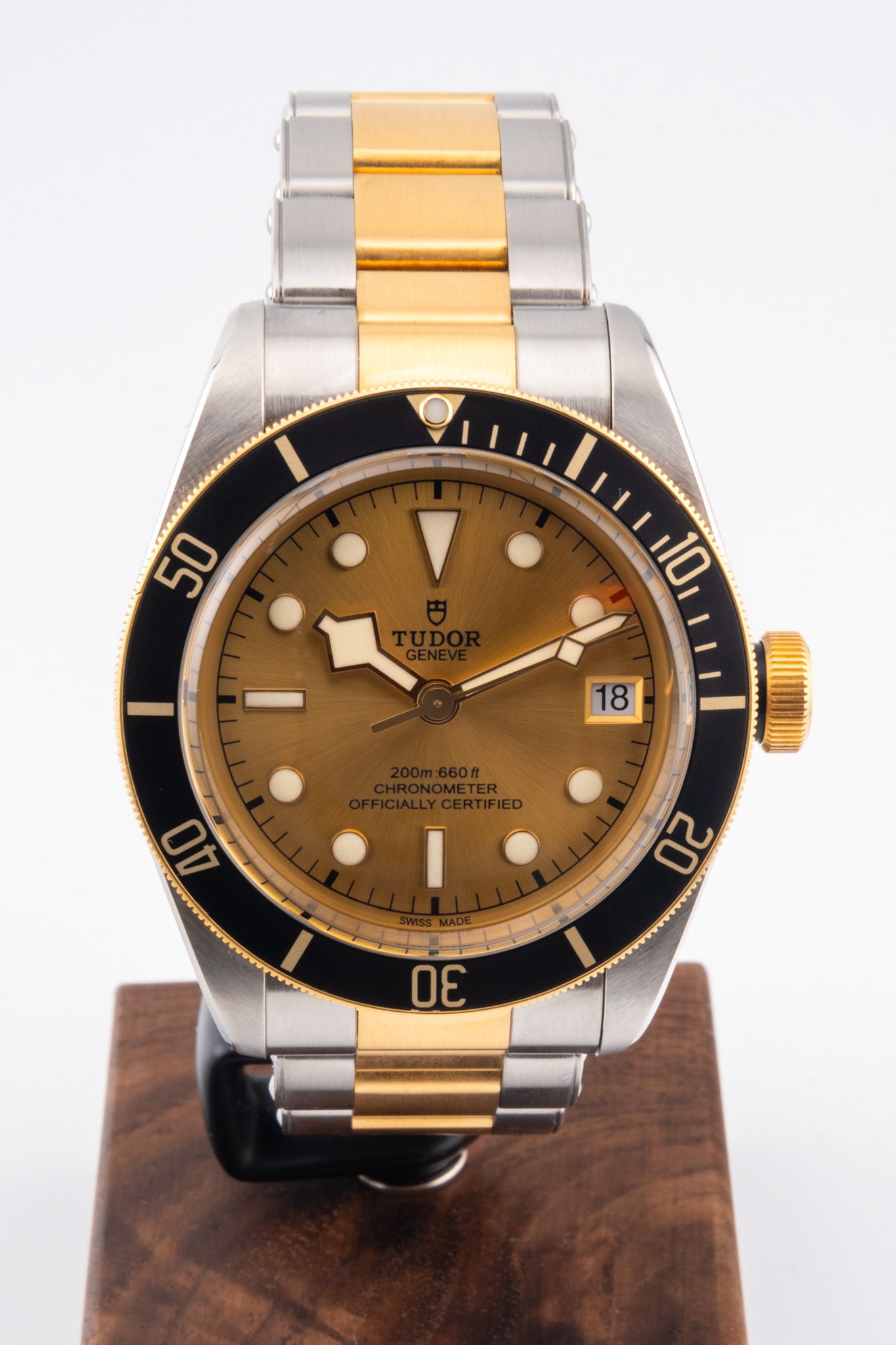 Tudor Black Bay S&G 79733N
