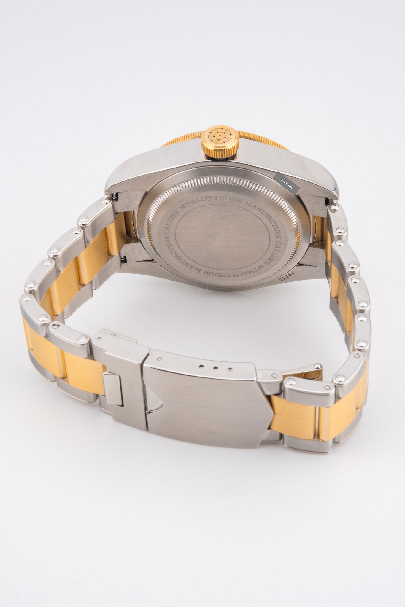 Tudor Black Bay S&G 79733N