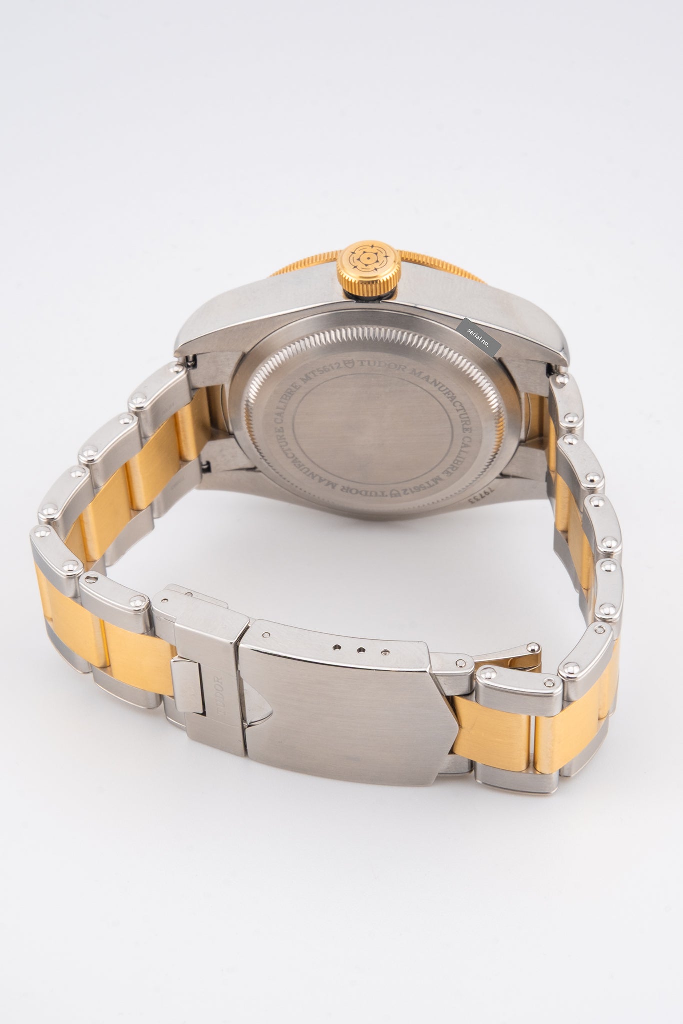 Tudor Black Bay S&G 79733N