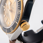 Tudor Black Bay S&G 79733N