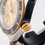 Tudor Black Bay S&G 79733N