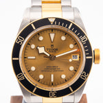 Tudor Black Bay S&G 79733N