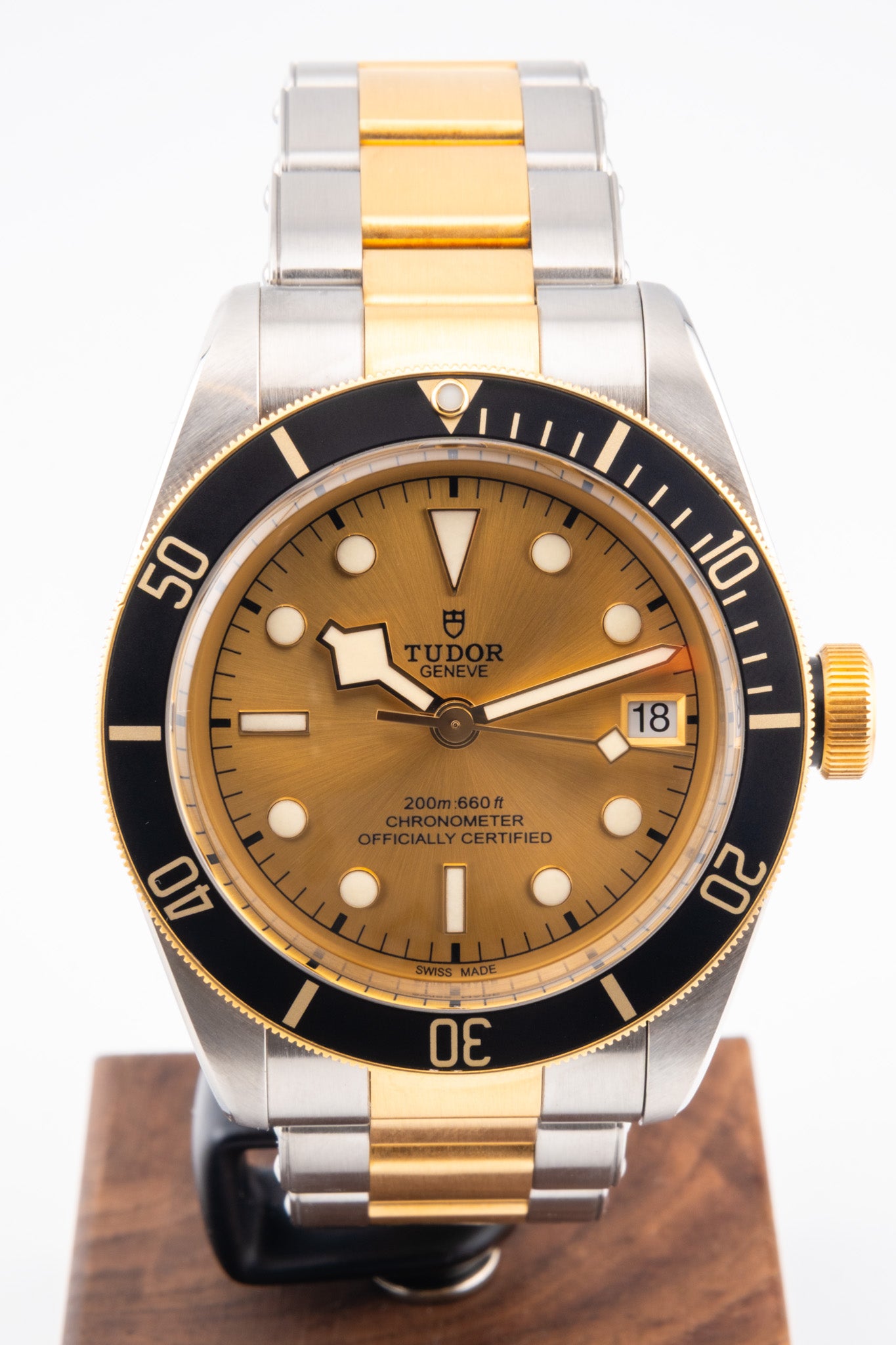 Tudor Black Bay S&G 79733N