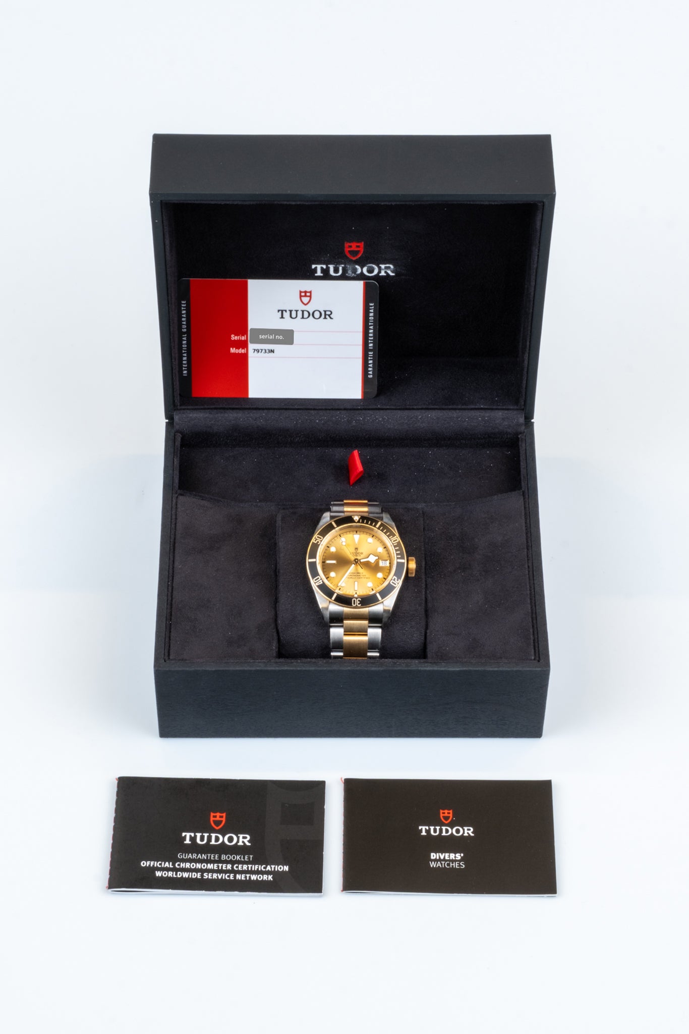 Tudor Black Bay S&G 79733N
