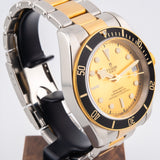 Tudor Black Bay S&G 79733N